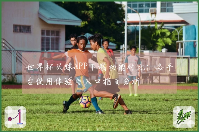 世界杯买球APP下载功能对比：各平台使用体验与入口指南分析