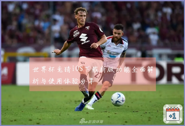 世界杯竞猜iOS下载新版功能全面解析与使用体验分享